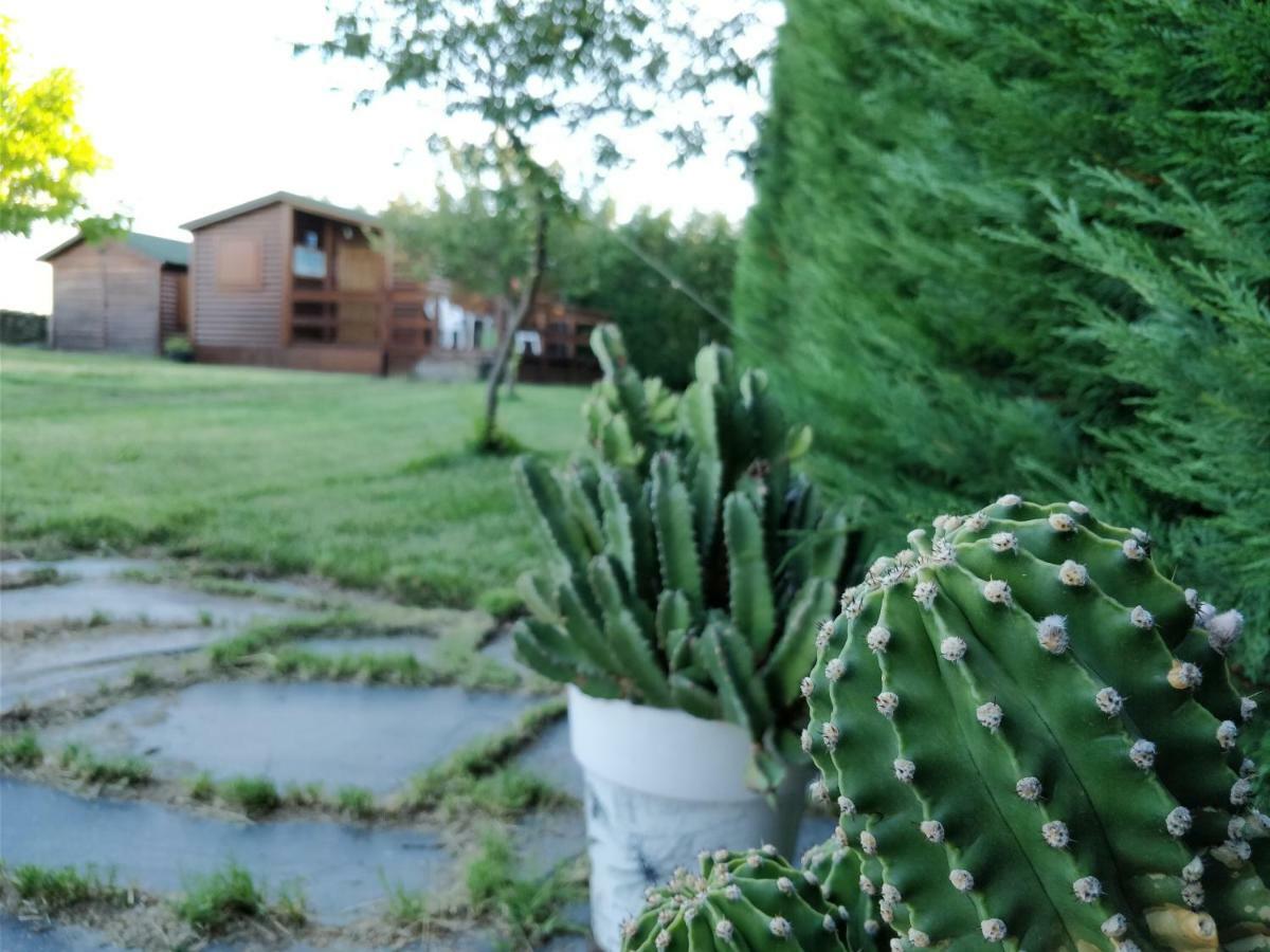 La Facera, Cabanas De Madera Valparaíso Eksteriør bilde